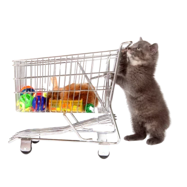 Cat Cart