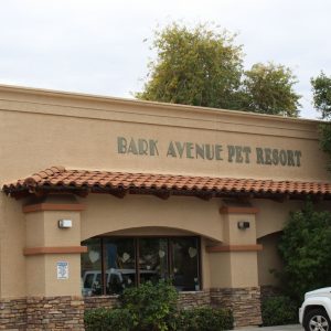 BarkAvenuePetResort