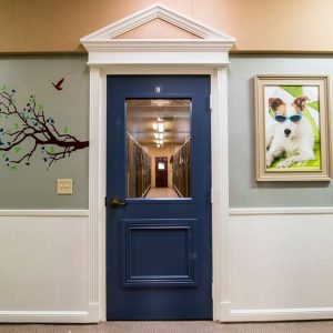 barkave-gallery-doorwaytosuites1